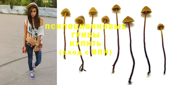MESCALINE Магас