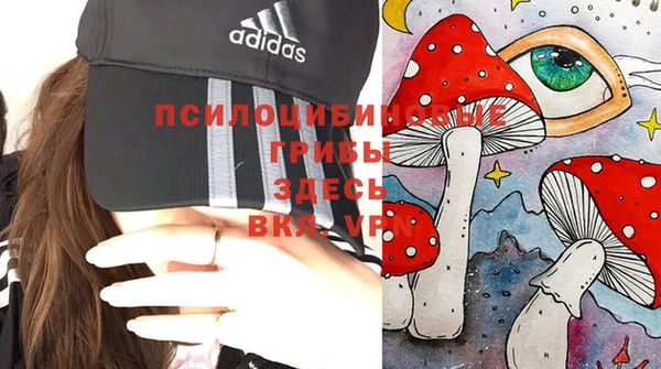 a pvp Магадан