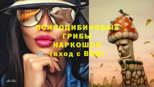 a pvp Магадан