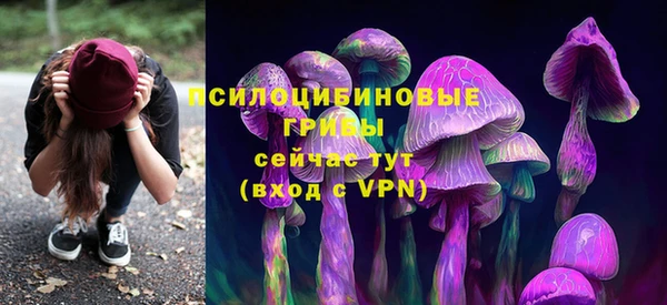 соль курить ск Вязьма